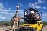 Wildlife Attractions – Out of Africa Wildlife Park